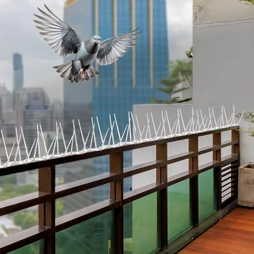 Bird Netting Services in Pune